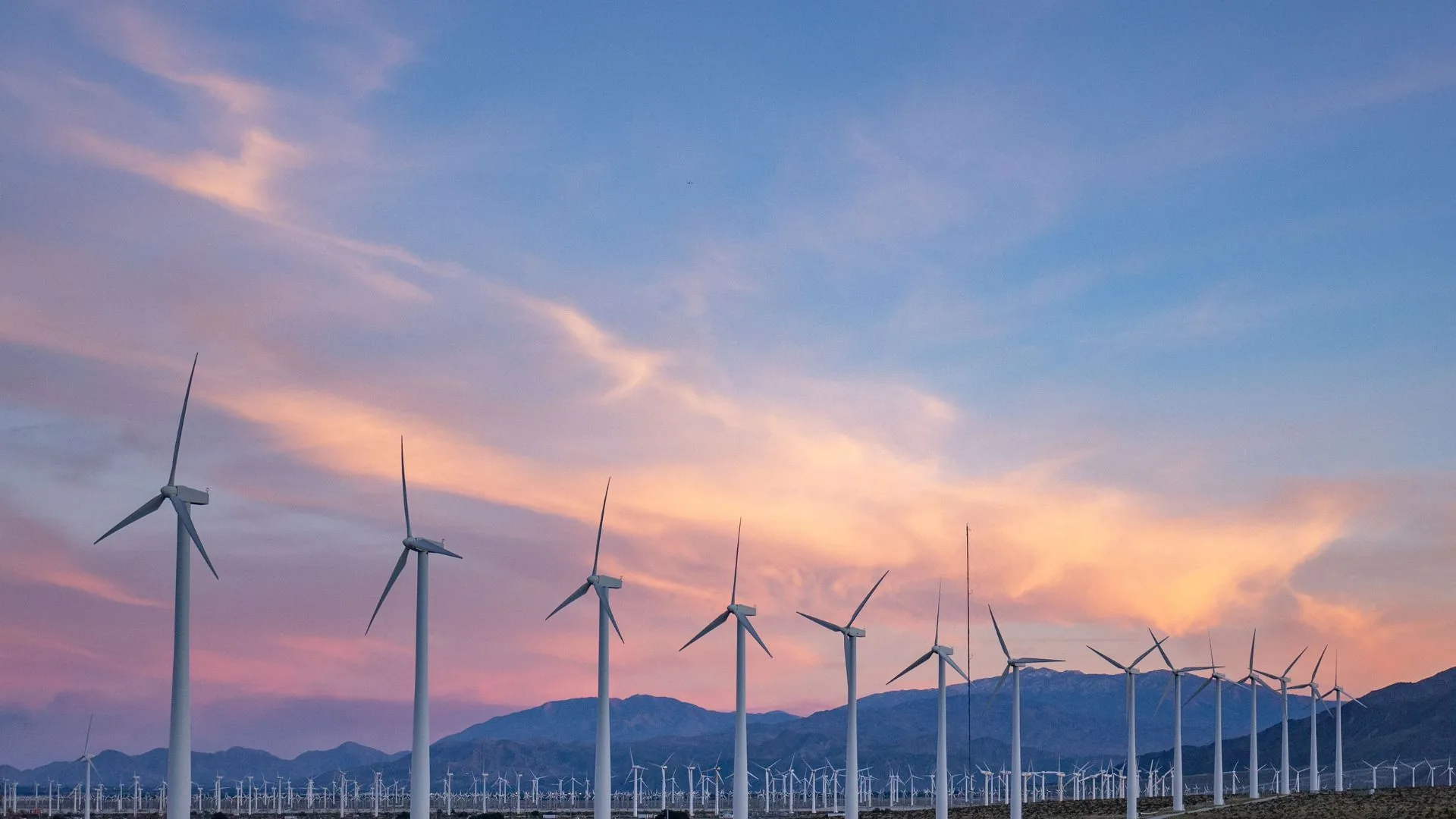 What Is an Independent Power Producer (IPP) and How Do They Work?